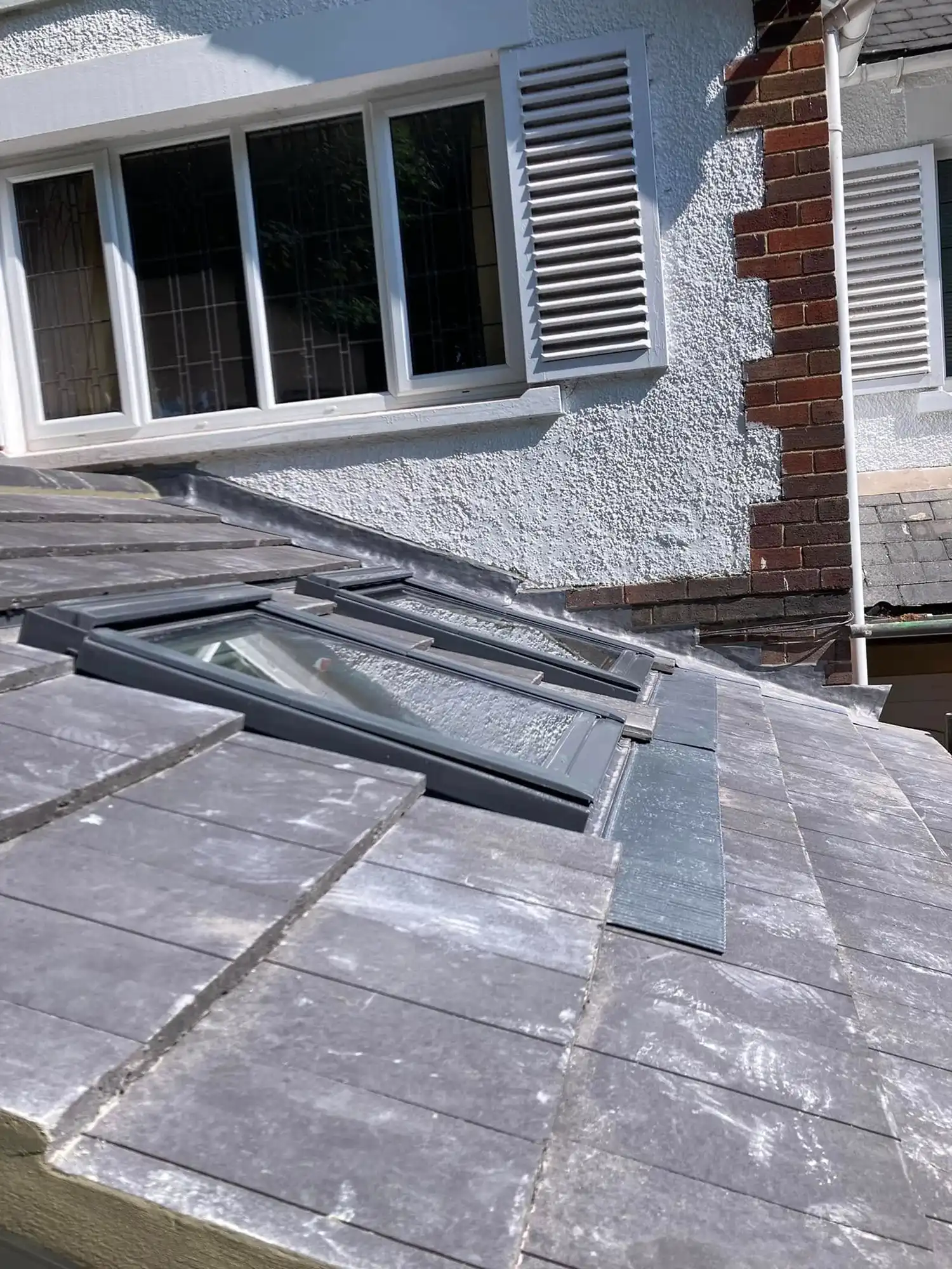 Velux windows on roof.